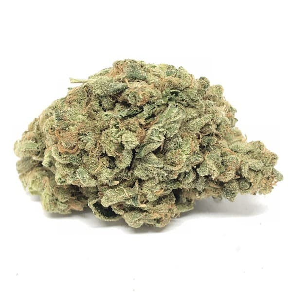 Zombie Kush cannabis strain, community photo 1