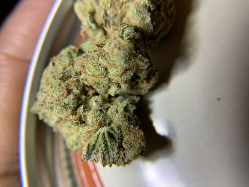 Zombie Kush cannabis strain, community photo 2