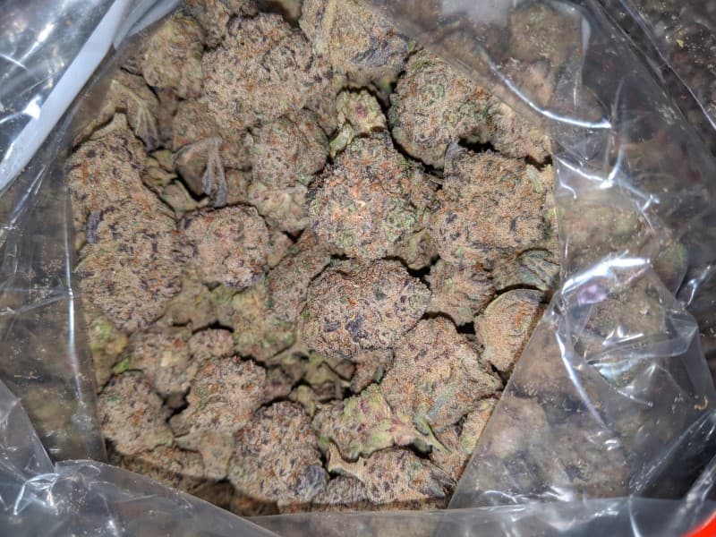 Zombie Kush cannabis strain, community photo 3