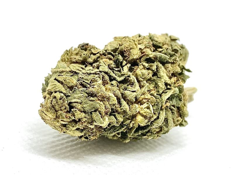 Zombie OG cannabis strain, community photo 2