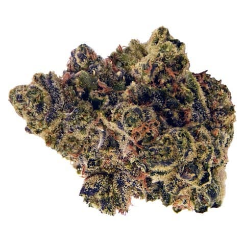 Zookies cannabis strain, community photo 1
