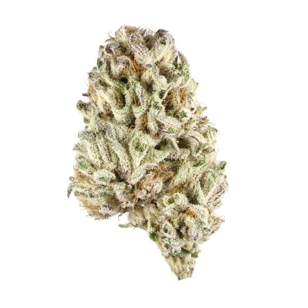 Zookies cannabis strain, community photo 3