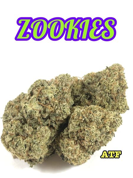 Zookies cannabis strain, community photo 4