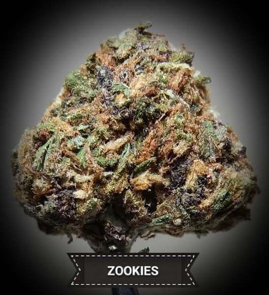 Zookies cannabis strain, community photo 9