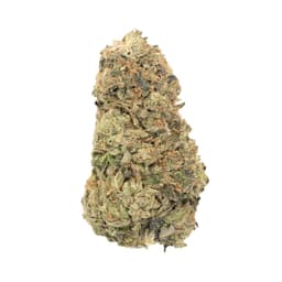 Cry Baby OG cannabis strain