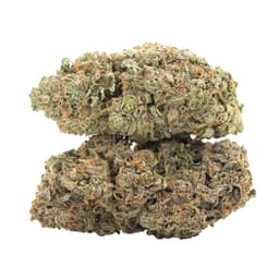 Loud Dream cannabis strain