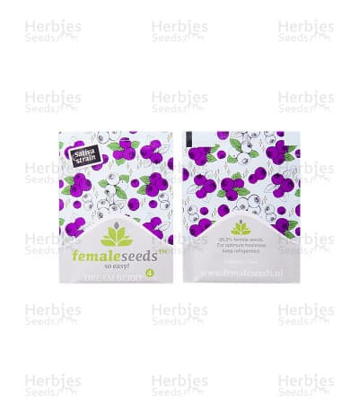 Dream Berry seeds at Herbies Head Shop