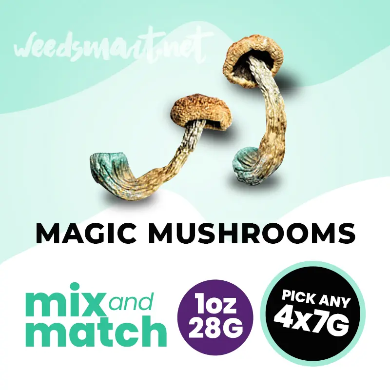 1 Ounce (28g) Mix & Match Mushroom (4 x 7g)