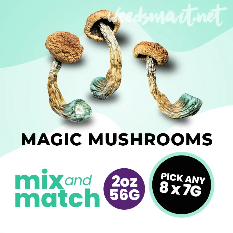2 Ounce Mix & Match Mushroom