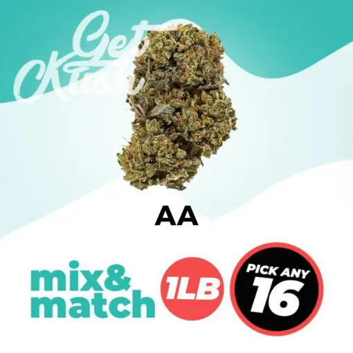 AA (1LB) – Mix & Match – Pick Any 16