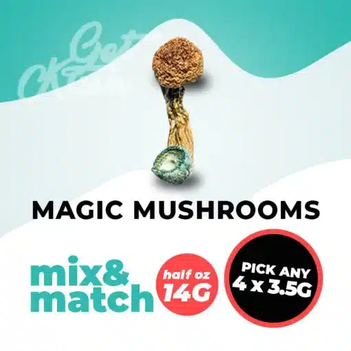 Magic Mushrooms (14G) – Mix & Match – Pick Any 4