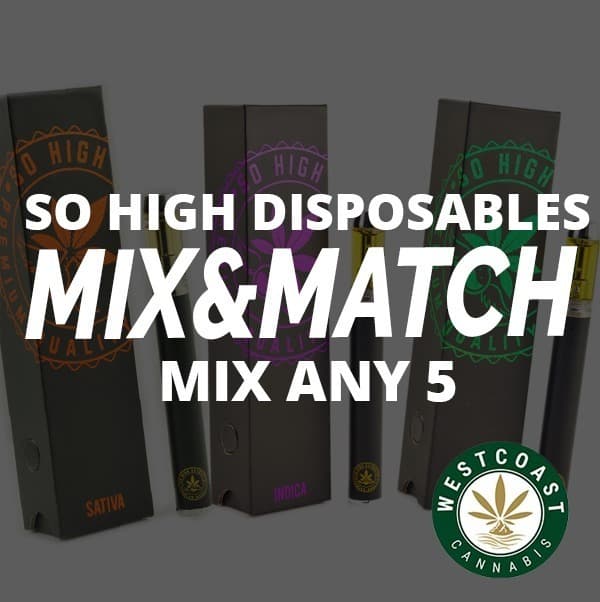Mix and Match So High Extracts BHO Full Spectrum/Distillate Disposable Pen – 5