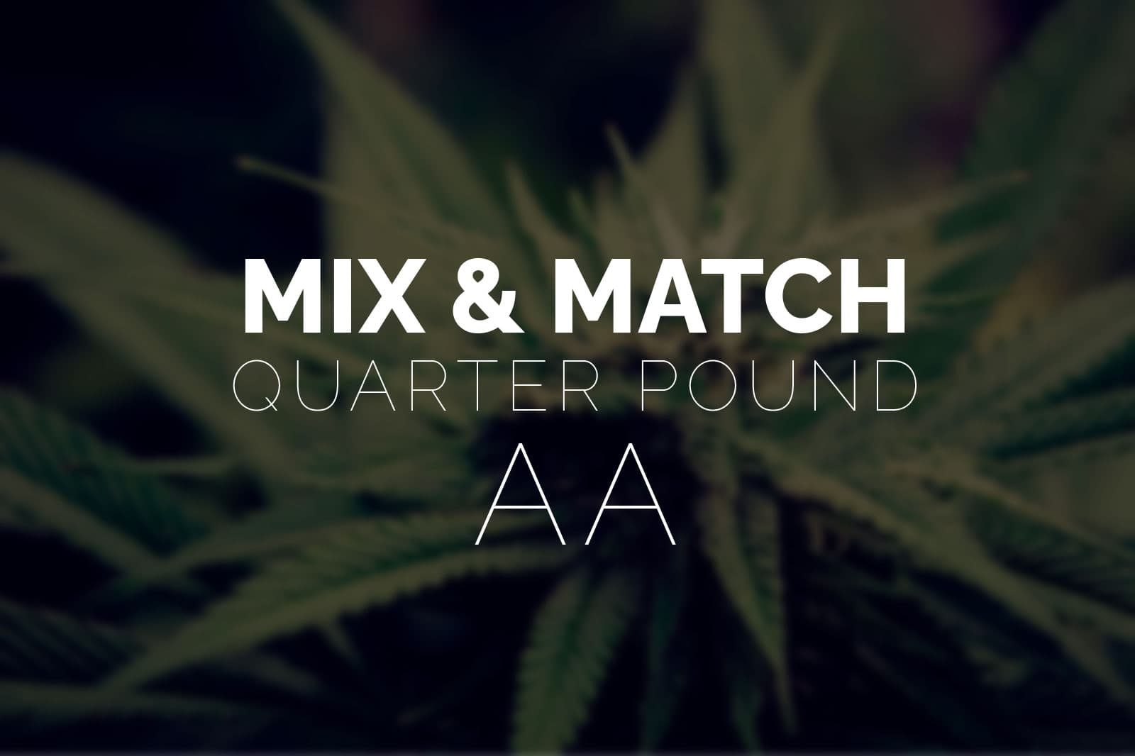 Multi Pack – Quarter Pound AA Strains – 4 x 28g