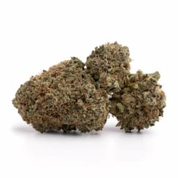 Mochi cannabis strain