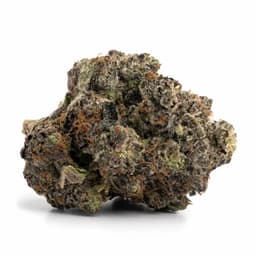 In The Pines cannabis strain