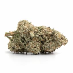 Supreme Grapes cannabis strain