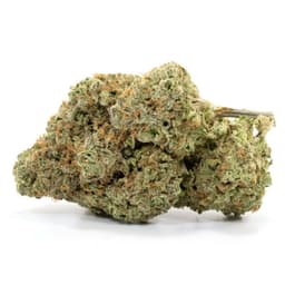 King's Fire #4 cannabis strain