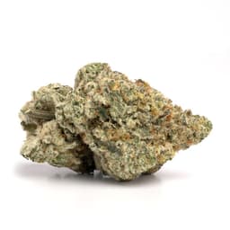 Lemon Pie cannabis strain