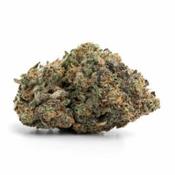 Cherry Vanilla Cookies cannabis strain