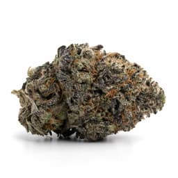 Purple Sunset cannabis strain
