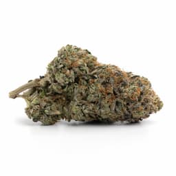 Pink Wagyu cannabis strain