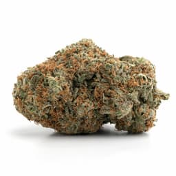 Black Rose cannabis strain