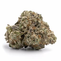 Skywalker cannabis strain