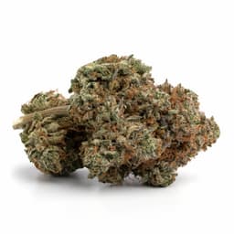 Pink Panther cannabis strain