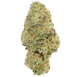 Pink Starburst cannabis strain