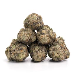Kush Breath cannabis strain