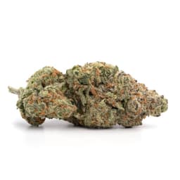 Jungle Cookies cannabis strain