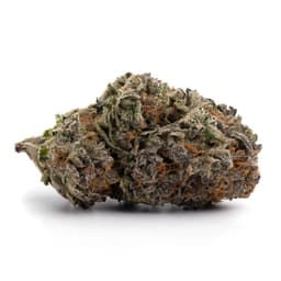 Sweet Tooth cannabis strain