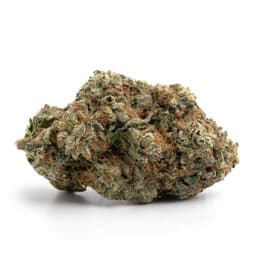 Blackberry Widow cannabis strain