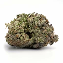 MKU (Master Kush Ultra) cannabis strain