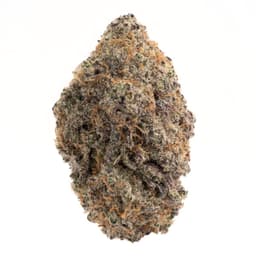 Iced Runtz #17 cannabis strain