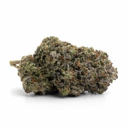 Super Kush cannabis strain