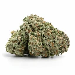 Lemon Sour Diesel cannabis strain