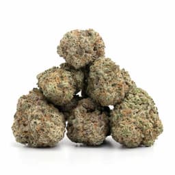 Pink Panties cannabis strain