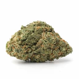 Orange MAC cannabis strain