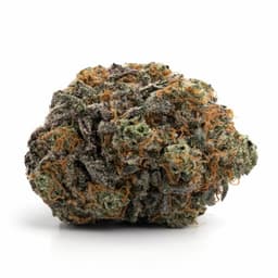 Papaya Punch cannabis strain