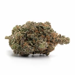 Larry OG cannabis strain