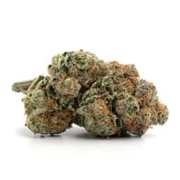 Sour OG cannabis strain