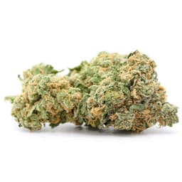 Lemon Drop cannabis strain
