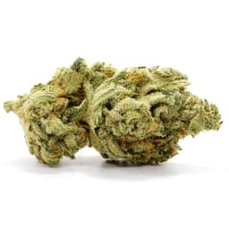 Pink Gas cannabis strain