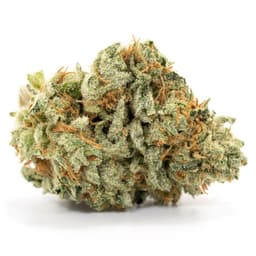Jet Fuel cannabis strain