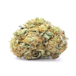 Pink Rockstar cannabis strain