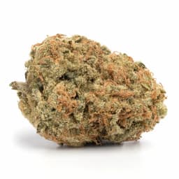 BC Sweet Tooth cannabis strain