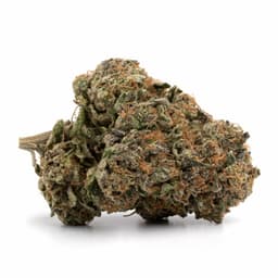 Pine Tar cannabis strain