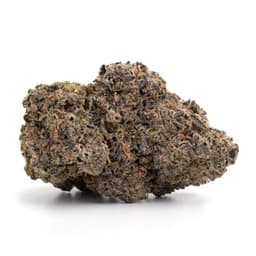 Lemon Killer Haze cannabis strain