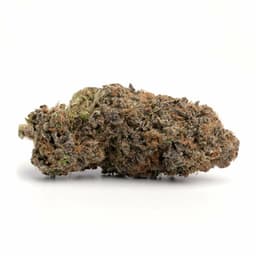 Lemon Meringue cannabis strain